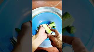 Nộm dưa chuột giá đỗ