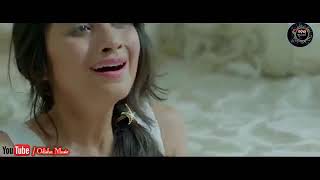Kemiti Bhulibi Se Abhula Dina  Hrudaya Hina  Female  Official Video Song  Amrita Nayak
