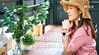 EP1.[1/3] เที่ยวสะเมิง | vlog เชียงใหม่ ขับรถเที่ยวเชียงใหม่ ไปหลองข้าวสเมิง