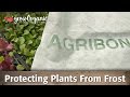 How to Protect Plants from Frost -- Low Tunnels