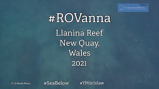 Amazing underwater video of Cardigan Bay - Exploring with #ROVanna, Episode 1