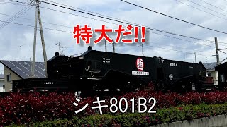 2022/04/16 今日の特大貨物 9863レ EF65-2086[新]＋シキ801B2＋ヨ8402