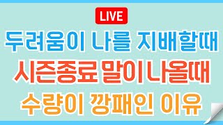 [LIVE🔴] 포기가 아닌 용기를 내야만 하는 시간 #리플xrp #비트코인 #이더리움