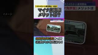 マイナンバーカードと運転免許証が一体「マイナ免許証」メリットは？3月24日から運用開始 #news #short  #ux新潟テレビ21 #新潟