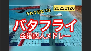 【バタフライ】金曜個人メドレー　一礼会　20220128