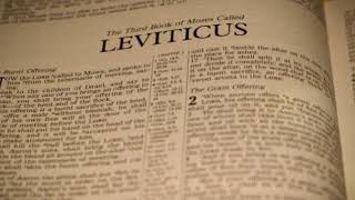 The Holy Bible - Leviticus Chapter 19 ESV