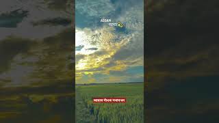 আমাৰ গাঁওৰ পথাৰখন #beautiful #place #shortvideo #shortsviral #ytshortsvideo