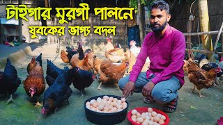 টাইগার মুরগির পালনে বেকার যুবকের মাসে আয় ৫০ হাজার  #টাইগার_মুরগি_পালন_পদ্ধতি #টাইগার_মুরগি