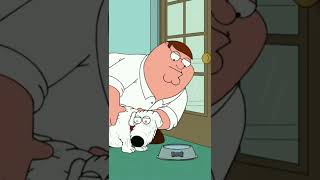 [Family Guy] Old Brian #comedy #familyguy #petergriffin #briangriffin #funny