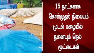 15 நாட்களாக கொள்முதல் நிலையம் மூடல் மழையில் நனையும் நெல் மூட்டைகள்