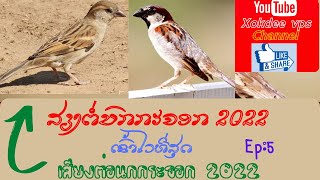 ສຽງຕໍ່ນົກກະຈອກ 2022 ep5 , เสียต่อนกกระจอก 2022 ep5