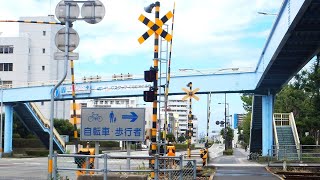 【踏切】JR高徳線　歩道専用遮断機と歩道橋が両方ある踏切 (Railroad crossing in Japan)