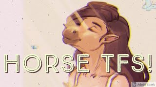 🐴【𝐑𝐄𝐐𝐔𝐄𝐒𝐓𝐄𝐃! :𝟑】|  Horse TFs / Equine TF TGs  |  𝐩𝐚𝐫𝐭 𝟐!  🐴