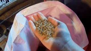 ПРО ГРАНУЛИРОВАННЫЙ КОРМ ДЛЯ КРС//Основные плюсы комбикорма для крс в гранулах