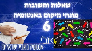 שאלות חזרה למבחן- מונחי מיקום