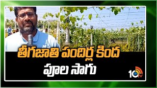 తీగజాతి పందిర్ల కింద పూల సాగు | Cultivation of flowers Under Canopies | 10tv