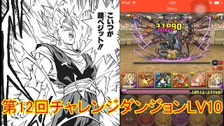 第12回チャレンジダンジョンLV10 超ベジットパ ノーコン【パズドラ】