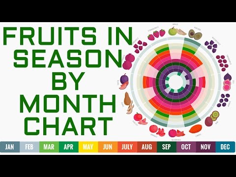 What time of year are oranges in season?