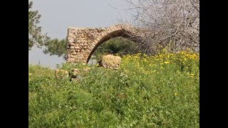 שביל ישראל צומת שפייה וואדי מילק עד בית חנניה דרך חוטם הכרמל יעקב שרפשטיין וזאב ביגון