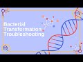 Bacterial Transformations Trouble Shooting Guide