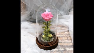 프리저브드 플라워 유리돔2 ( Preserved flower a rose in the glass dome 2 )