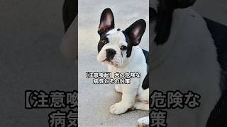 【注意喚起】犬の危険な病気とその対策 #犬 #犬のいる暮らし #いぬのいる暮らし #多頭飼い