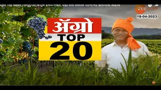 Agro Top News | सिंधुदुर्गात जांभूळ हंगाम तेजीत, पाहा शेती विषयक महत्त्वाच्या बातम्यांचा आढावा