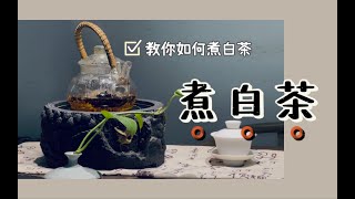 【泡茶技巧】之白茶（3）冬日饮茶必备：煮老白茶，怎么煮呢？｜煮一大壶只有单一一味，如何煮出层次感？