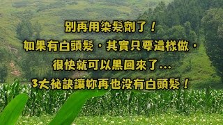 別再用染髮劑了！如果有白頭髮，其實只要這樣做，很快就可以黑回來了   3大祕訣讓妳再也沒有白頭髮！