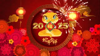 蛇年贺岁新曲 - Chinese New Year Songs