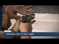 Virginia police have seized 28 guns this year due to Red Flag Law