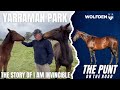 THE PUNT (on the road) THE STORY OF I AM INVINCIBLE