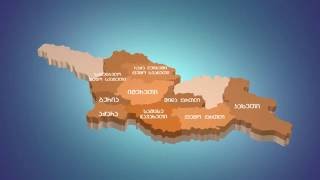 საინფორმაციო რგოლი საარჩევნო პერიოდში სახალხო დამცველის საქმიანობის შესახებ