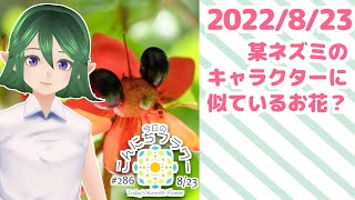 【十二支とお花】某ネズミキャラクターに似ているお花!?【花市場のお花紹介】 #Shorts