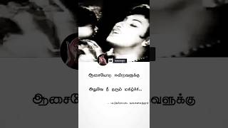 #உன் நரம்போடு தான்❤️ #பின்னி வளரனும் தன்மான உணர்ச்சி🫵 #புதுசு🔥 #new video👍 #அரசியல்