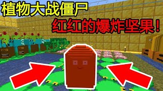 🎁Minecraft🎁植物大战僵尸，红红的『爆炸坚果』！僵尸咬到直接爆炸！【煞神吖】