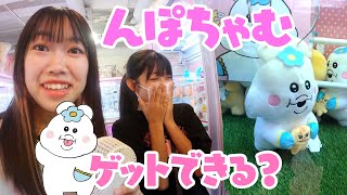 せいらの推し★んぽちゃむを探す旅！！クレーンゲームゲットできる？★にゃーにゃちゃんねる