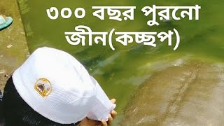 চট্টগ্রাম বায়েজীদ বোস্তামী মাজারে পুকুরে ৩০০ বছর পুরনো জীন (কচ্ছপ)|Chattogram