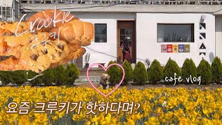 cafe vlog / 요즘 크루키가 대세쟈냐 / 행궁동 카페 공간상점