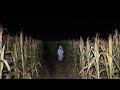 3 Creepy TRUE Cornfield Horror Stories (V2)