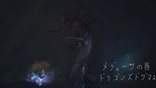 ドラゴンズドグマ2 - メデューサの首 (中国語)