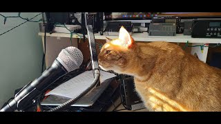 Shortwave radio live stream Saturday November 9th 2024