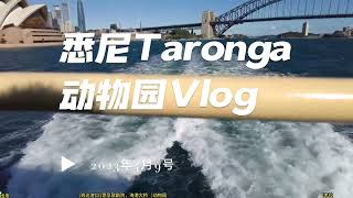 悉尼Taronga动物园Vlog