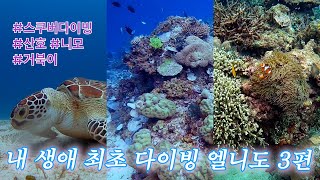 🇵🇭 [Ep3. 찾았다 내 평생 취미] 나혼자여행⎮팔라완⎮엘니도⎮스쿠버다이빙⎮니모⎮거북이⎮산호구경