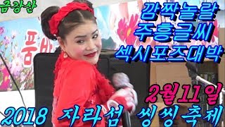 💗버드리💗깜짝놀랄 주흥글씨 섹시댄스대박 팁웃음대박 2월11일 자라섬 씽씽축제 초청 공연