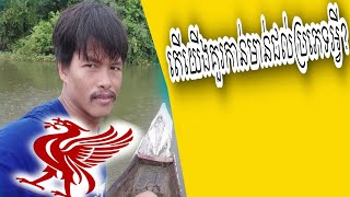 តើយើងគួរកាន់ប្រភេទមាន់ជល់អ្វី?