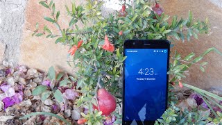 Jiayu S3 Advanced Review!!