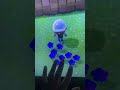 Purple Windflowers oh yeah!!! #gameplay