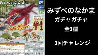 みずべのなかま ガチャガチャ 全3種 3回チャレンジ