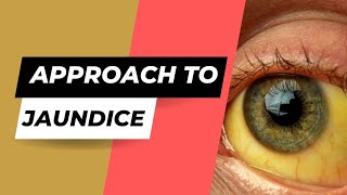 Approach to Jaundice